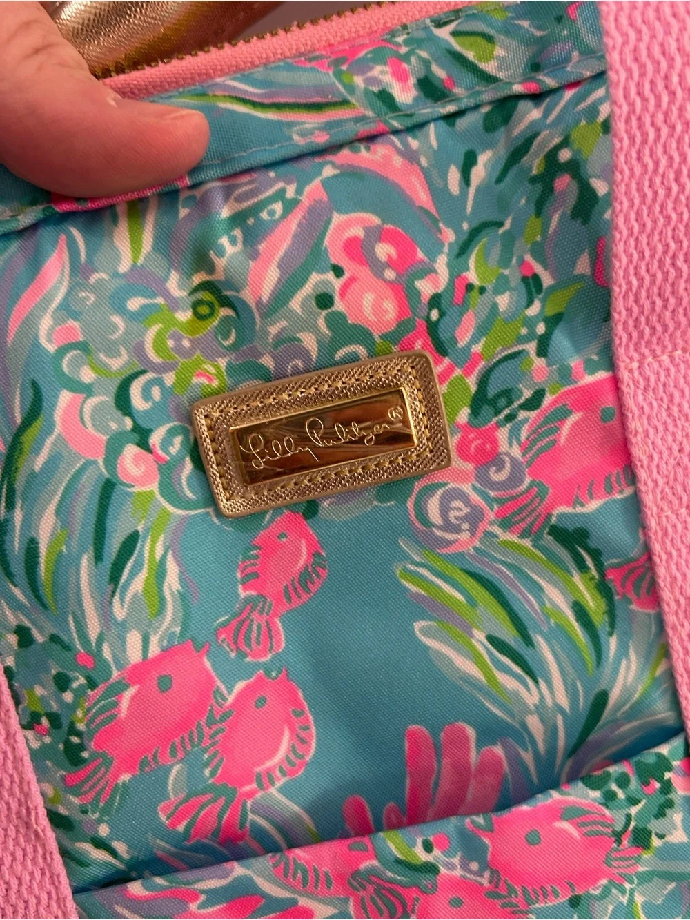 Lilly Pulitzer Insulated Backpack Cooler ‘Best Fishes’ Pink Convertible